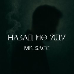Обкладинка Mr. Safe - Назад не йду