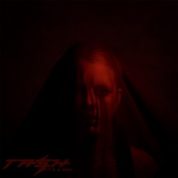 Обкладинка Dear Tash - It's A Riot