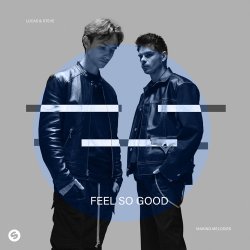 Обкладинка Lucas & Steve - Feel So Good