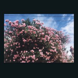 Обкладинка Ceres - Okay