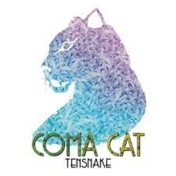 Обкладинка Tensnake - Coma Cat