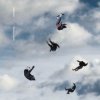 Giant Rooks - The Birth of Worlds
