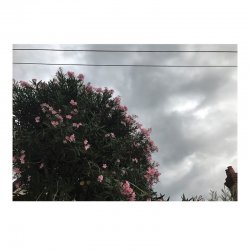 Обкладинка Ceres feat. Japanese Wallpaper - Stretch Ur Skin