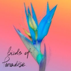 Обкладинка From:Ksusha & Yongue - Birds Of Paradise