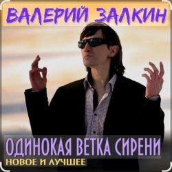 Обкладинка Валерий Залкин - Одинокая ветка сирени