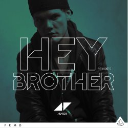 Обкладинка Avicii - Hey Brother (Syn Cole Remix)