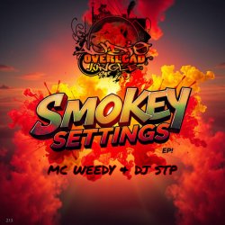 Обкладинка Dj Stp, Mc Weedy - All My Love