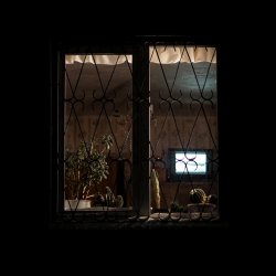 Обкладинка Honeyfrequency - Курьер