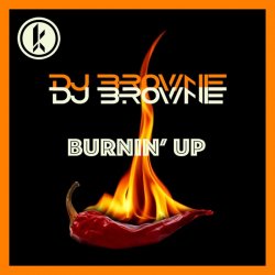 Обкладинка DJ Brownie - Burnin Up