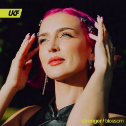 Обкладинка Blossom - Stronger