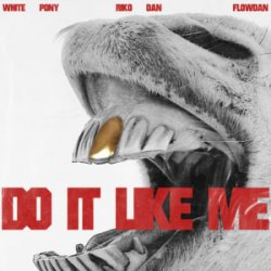 Обкладинка White Pony & Riko Dan & Flowdan - Do It LIke Me (VIP)