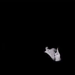 Обкладинка Bob Moses - Like It Or Not