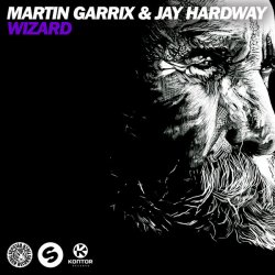 Обкладинка Martin Garrix & Jay Hardway - Wizard (Original Mix)
