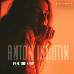 Обкладинка Anton Ishutin & Nikita Malininin - D.N.A