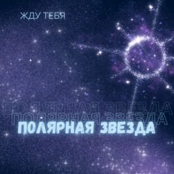 Обкладинка Полярная Звезда - Детка