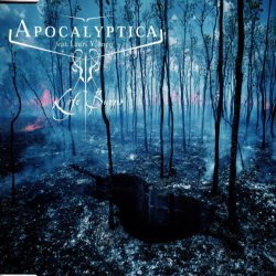 Обкладинка Apocalyptica Feat. Lauri Ylönen - Life Burns