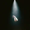 Обкладинка Ariana Grande - dandelion Ariana Grande - dandelion
