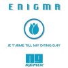 Обкладинка ENIGMA - Je T'aime Till My Dying Day (NJ Remix) ENIGMA - Je T'aime Till My Dying Day (NJ Remix)