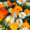 Обкладинка Ekko & Sidetrack - Peace of Mind Ekko & Sidetrack - Peace of Mind