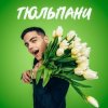 Обкладинка VOLKANOV - ТЮЛЬПАНИ VOLKANOV - ТЮЛЬПАНИ