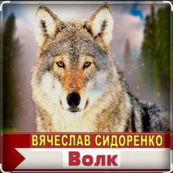 Обкладинка Вячеслав Сидоренко - Волк