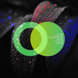 Обкладинка Boosin & Greenjack - The World Is on Fire (Aleh Team Remix)