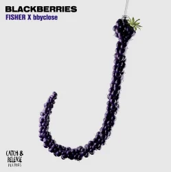 Обкладинка FISHER & bbyclose - Blackberries (Extended Mix)