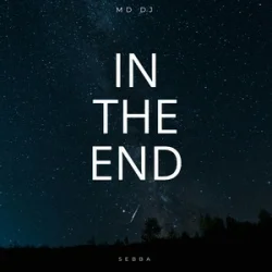 Обкладинка MD Dj & Sebba - In The End