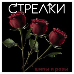 Обкладинка Sтрелки - Нет любви