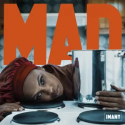 Обкладинка Imany - Mad