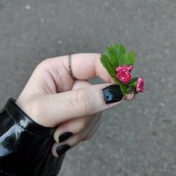 Обкладинка Эйприл - В огоньки