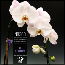 Cover I Will Remember (Original mix)