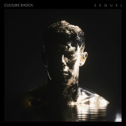 Обкладинка Sub Focus feat. Culture Shock - Move Higher