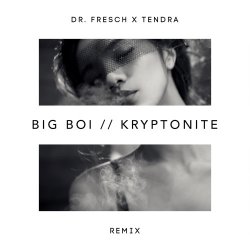 Обкладинка Big Boi - Kryptonite (Dr. Fresch x Tendra Remix)