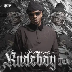 Обкладинка AkiidMusiq - Vutha Mlilo (Mixed)