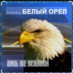 Обкладинка Белый Орел - Дождь смывает все следы