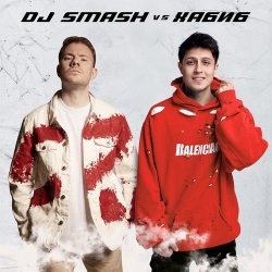 Обкладинка DJ SMASH vs. Хабиб - Ягода Малинка