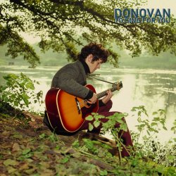 Обкладинка Donovan - Hi, It's Been A Long Time