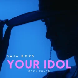 Обкладинка Rain Paris - Your Idol