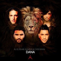 Обкладинка Ali B, Cheb Rayan & R3hab feat. Numidia - Dana