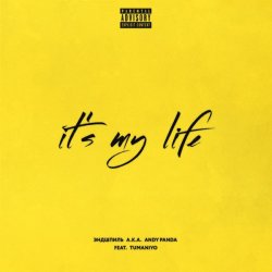 Обкладинка Эндшпиль & TumaniYO - It's My Life