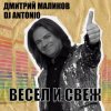 Обкладинка Дмитрий Маликов & Dj Antonio - Ты не прячь улыбку Дмитрий Маликов & Dj Antonio - Ты не прячь улыбку