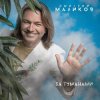 Обкладинка Дмитрий Маликов - Когда-нибудь Дмитрий Маликов - Когда-нибудь