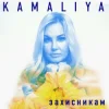 Обкладинка Kamaliya - Захисникам Kamaliya - Захисникам