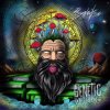 Cover Psydewise - Genetic Reflection Psydewise - Genetic Reflection