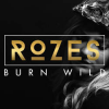 Обкладинка Rozes - Everything Rozes - Everything