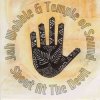 Cover Jah Wobble & Temple Of Sound - Mountains Of The Moon Jah Wobble & Temple Of Sound - Mountains Of The Moon