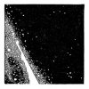 Cover Ivy Lab - Peninsula Ivy Lab - Peninsula
