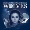 Обкладинка Selena Gomez & Marshmello - Wolves (TCM Hardstyle Remix) Selena Gomez & Marshmello - Wolves (TCM Hardstyle Remix)
