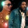 Обкладинка Pitbull feat. Stephen Marley - Options Pitbull feat. Stephen Marley - Options